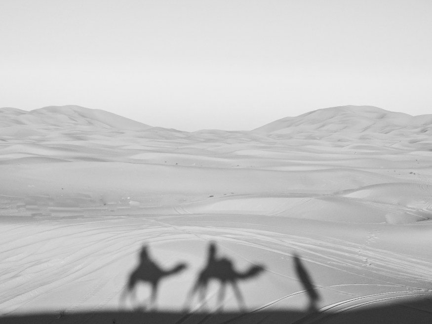 Visiting the Sahara Dessert, Camping in the Sahara, Sahara desert dunes, Sahara desert blog, Sahara Desert camel trek