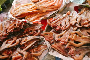 Life in Battambang Cambodia Blog