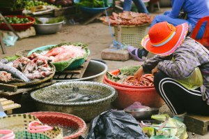 Life in Battambang Cambodia Blog