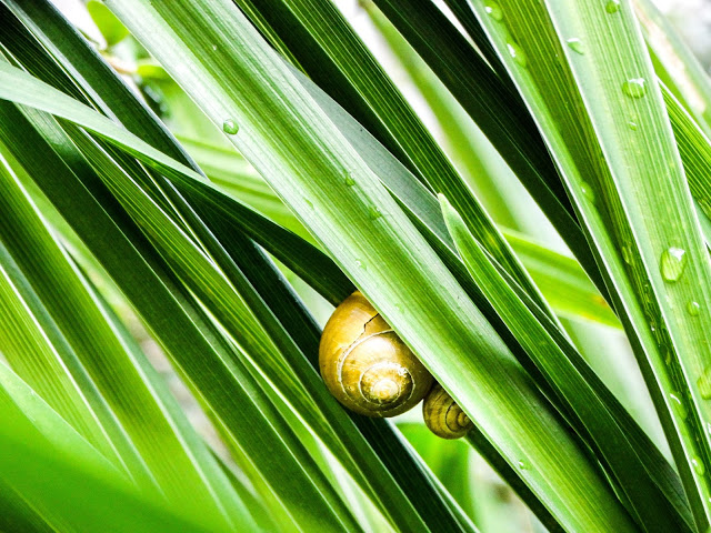 Bergen Norway Travel Blog