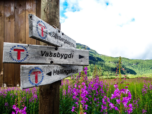 Hiking The Aurlandsdalen Valley Norway Blog
