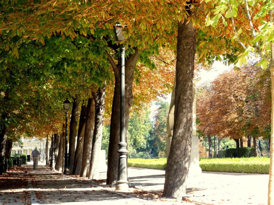 Madrid Photography, Madrid colors, Madrid streets, Madrid Park