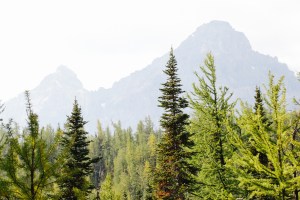 Larch Valley Trail Banff National Park Blog