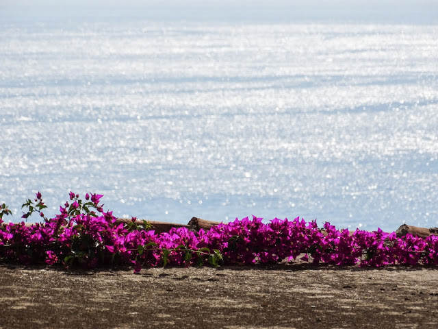 Monterosso Al Mare Italy Travel Blog