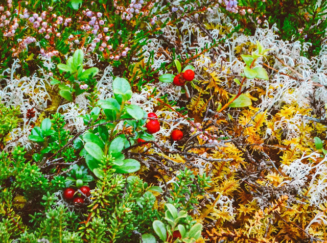 Geiranger Norway travel photography blog