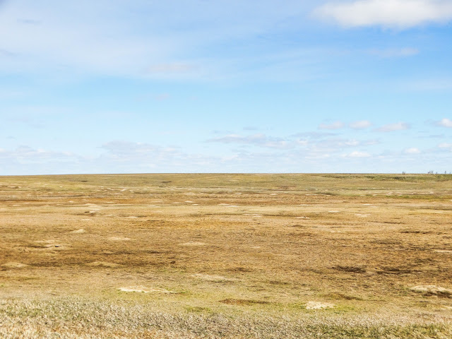 Road Trip Through The Badlands National Park