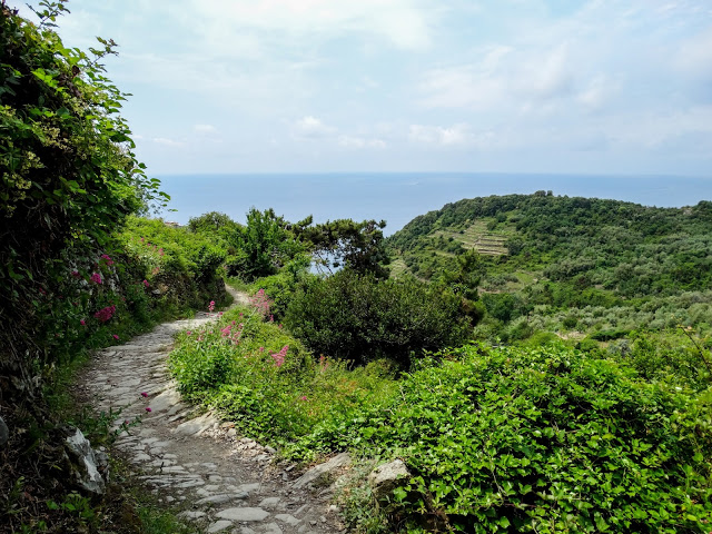 Hike from Vernazza to Corniglia