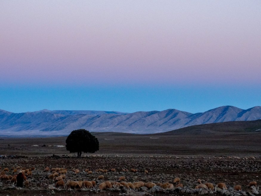 Visiting the Sahara Dessert, Camping in the Sahara, Sahara desert dunes, Sahara desert blog