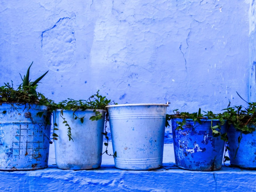 Chefchaouen Morocco Photography, Chefchaouen Morocco Blog, Chefchaouen Morocco blue 