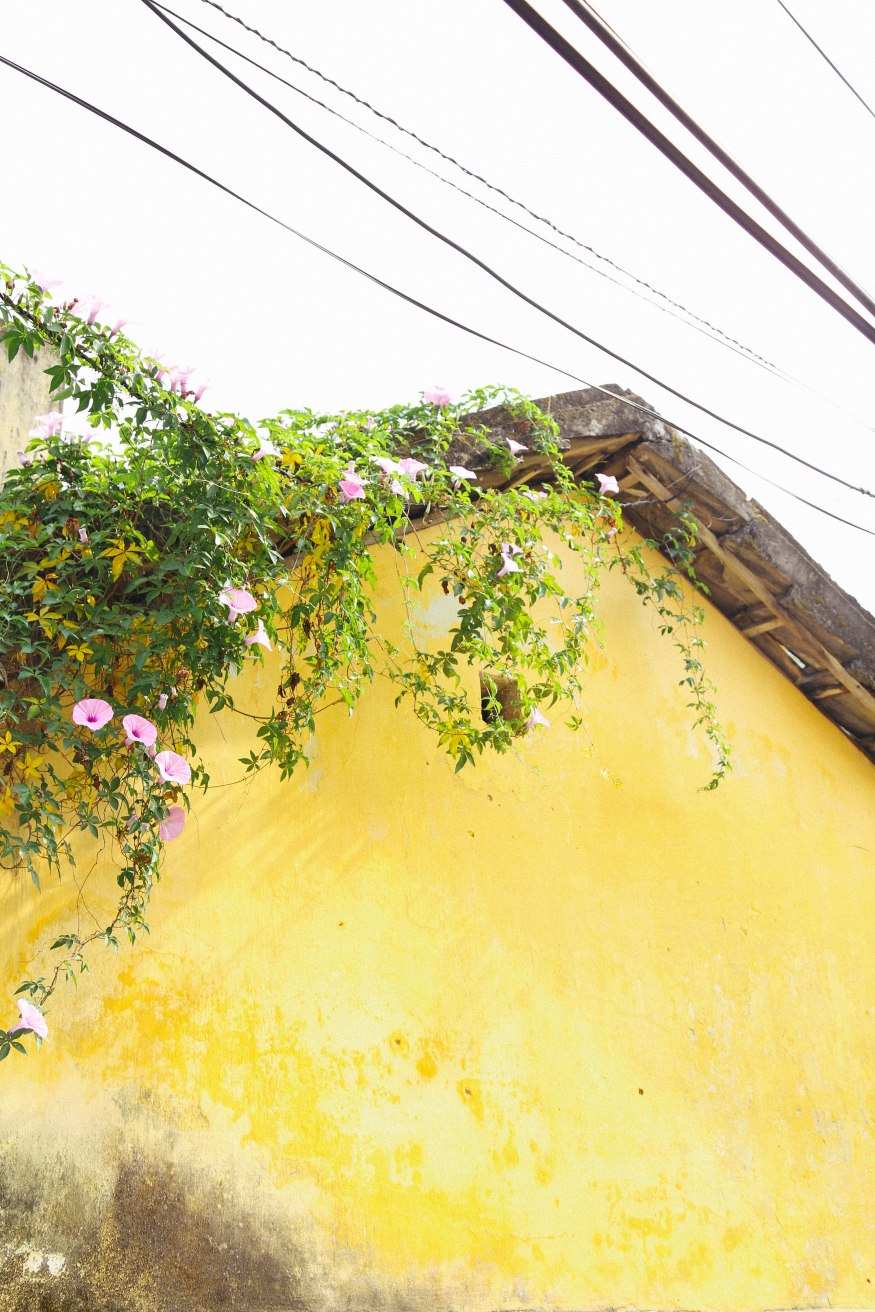 Hoi An Vietnam Travel Blog