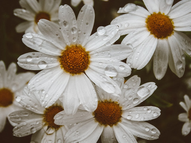 Geiranger Norway travel photography blog