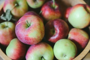 Montana Apple Picking, Apple Picking Blog, Making Apple Chips, Apple Picking In Our Own Backyard