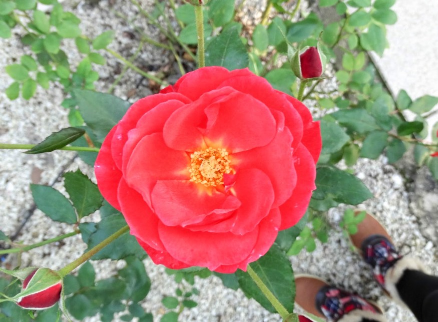 Road trip to provence France, weekend away in France, visiting Provence France