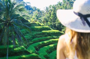 Tegalalang Rice Fields Ubud Bali Blog
