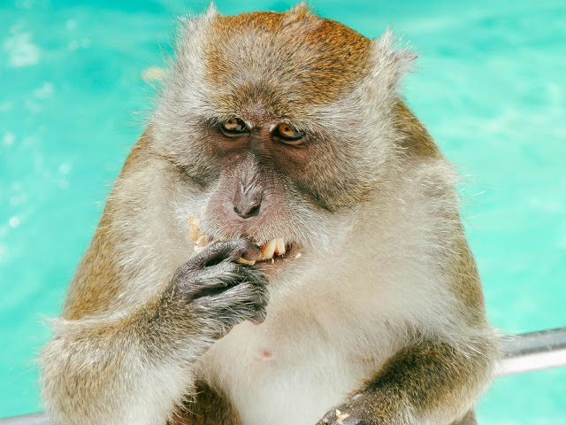 South East Asia Service Blog