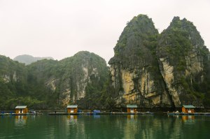 Ha Long Bay Vietnam Cruise Blog