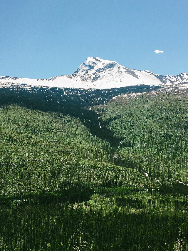 Biking Going to the Sun Road Glacier National Park