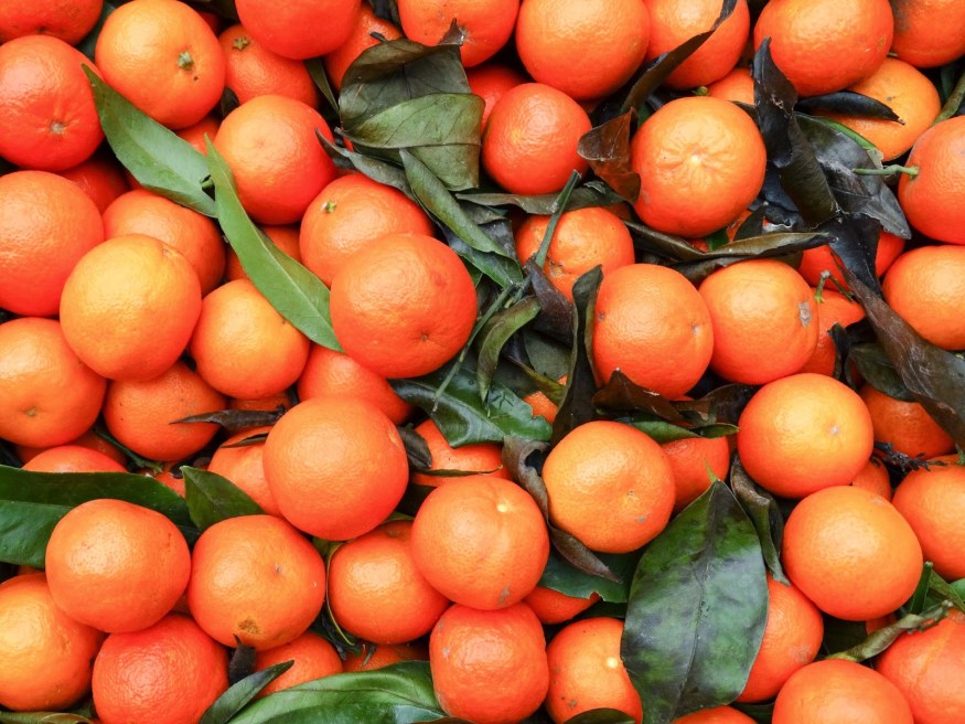 Road trip to provence France, weekend away in France, visiting Provence France, French oranges