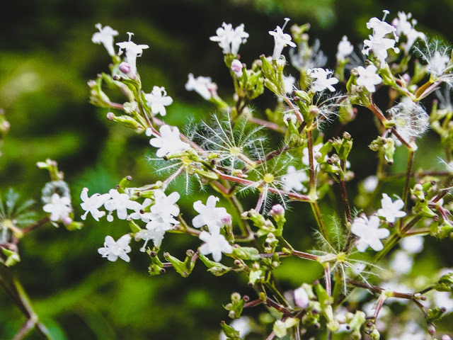 Geiranger Norway travel photography blog
