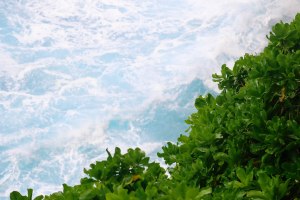 Nusa Penida Bali Travel Blog