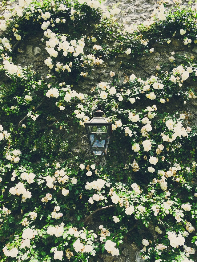 Ravello Italy Travel Blog