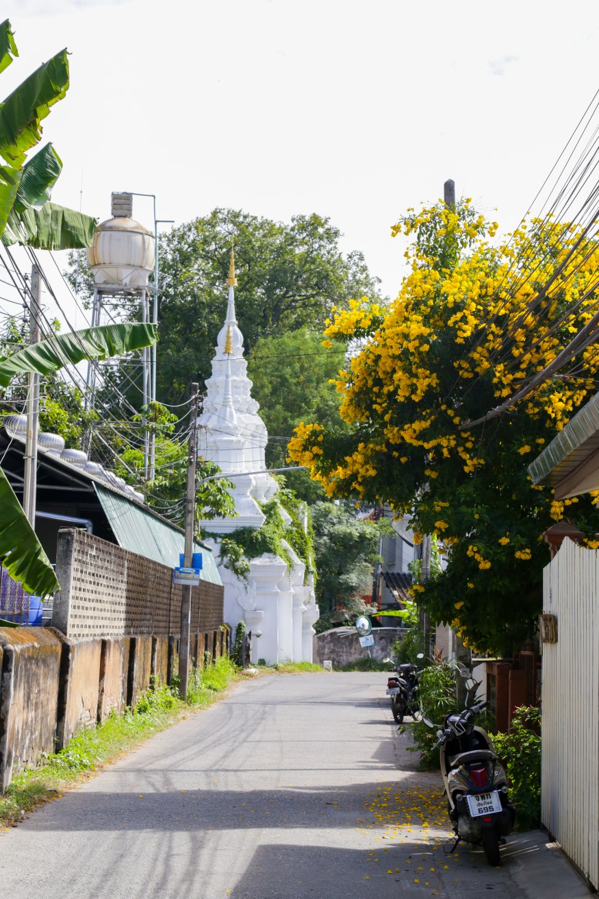 Chiang Mai Temple, Wat Suan Dok 