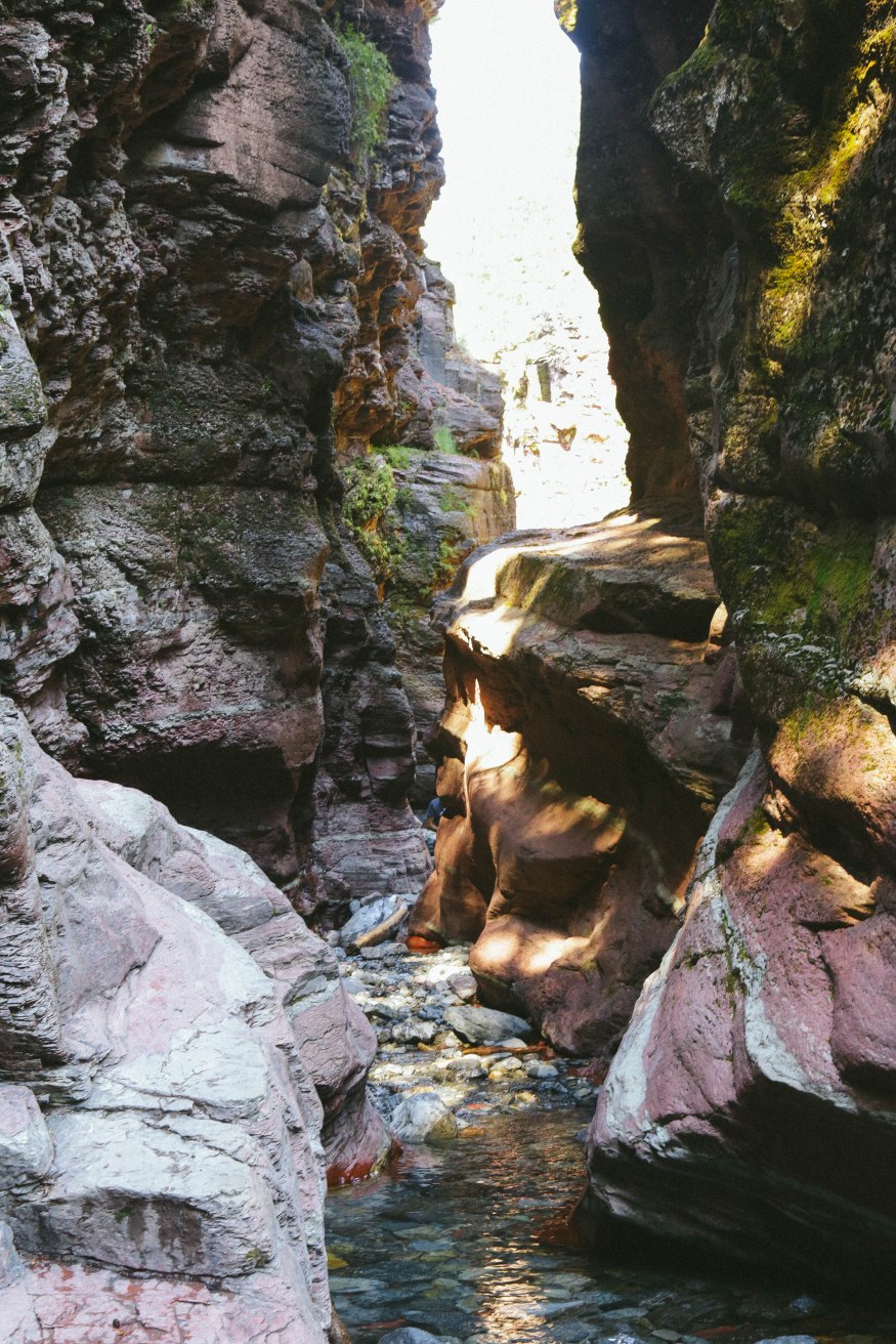 The best weekend in Waterton Lakes National Park