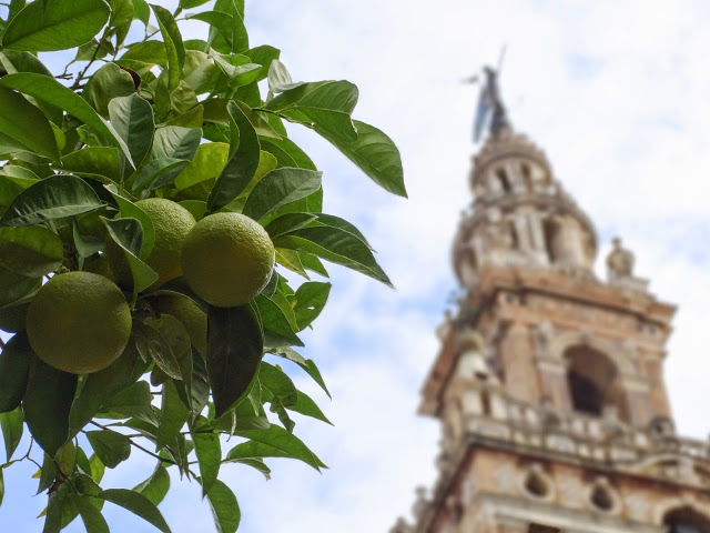 Seville Spain photography, Seville Spain, Seville Spain Blog, Seville Cathedral, Sevilla Cathedral photography