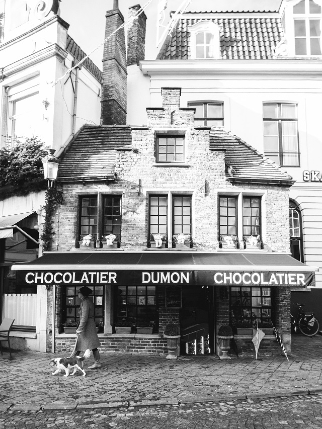 The Best Day in Bruges Belgium Blog