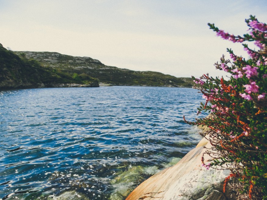 Bergen Norway Travel Blog