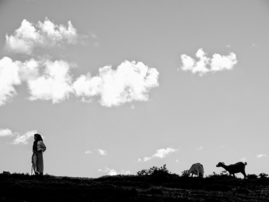 Chefchaouen Morocco Photography, Chefchaouen Morocco Blog, Morocco goat herder 