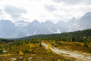 Larch Valley Trail Banff National Park Blog