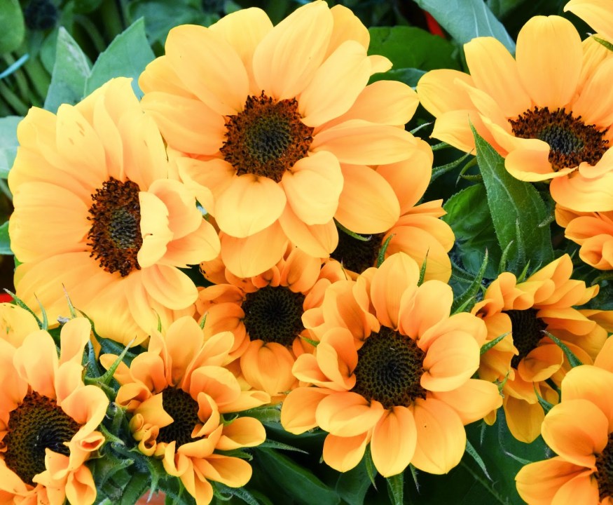 Girona Spain, Girona Spain photography, Visit Girona Spain