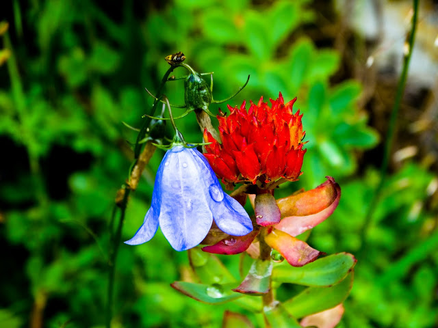 Hiking The Aurlandsdalen Valley Norway Blog