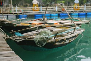 Ha Long Bay Vietnam Cruise Blog