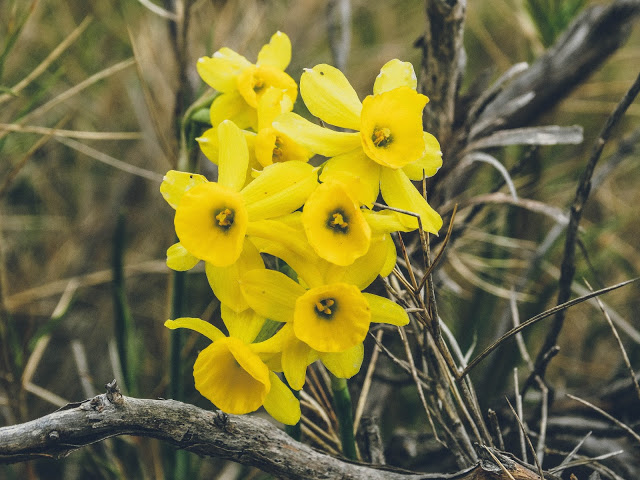 Hiking Montserrat Spain Travel Blog
