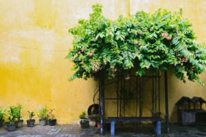 Hoi An Vietnam Travel Blog