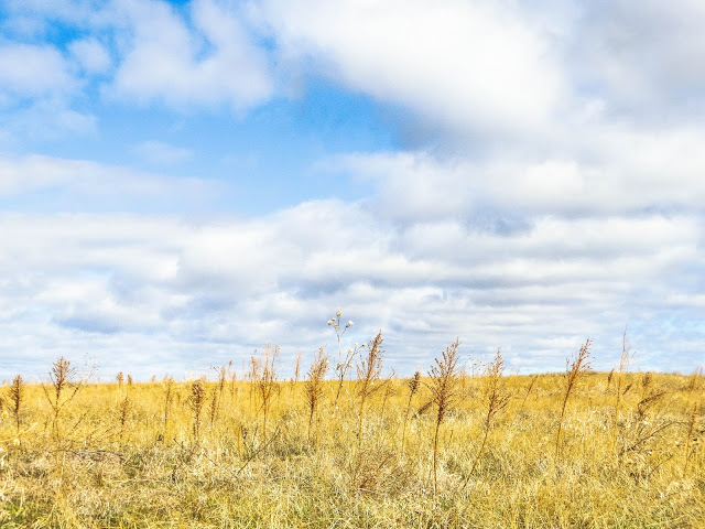 Road Trip Through The Badlands National Park