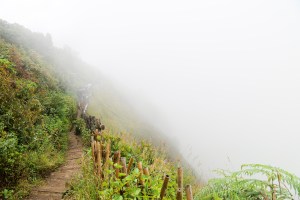 Doi Inthanon national park, Kew Mae Pan Nature Trail 