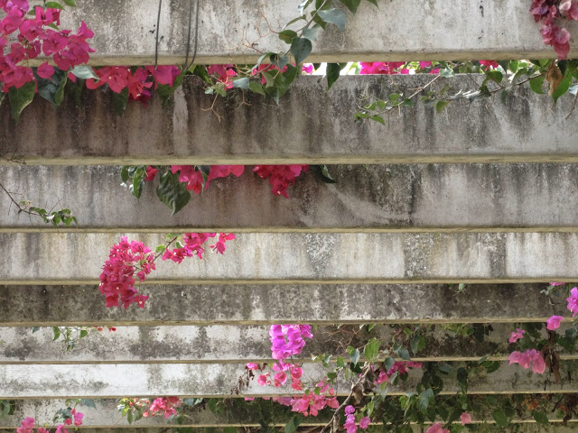 Seville Spain photography, Seville Spain, Seville Spain Blog, Plaza Espania photography, Plaza Espania Spain