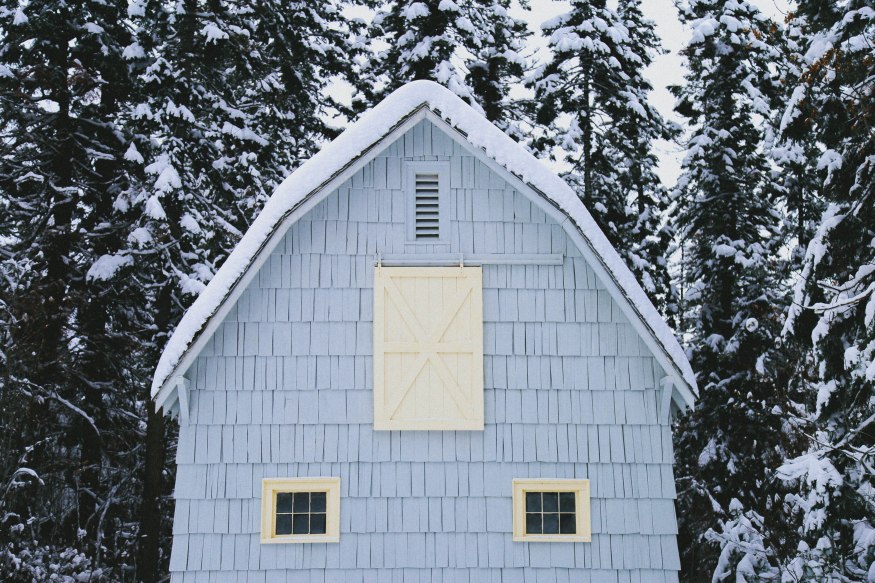 Montana Winter Photography Blog