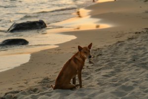 Phu Quoc Vietnam Travel Blog