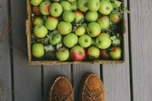 Montana Apple Picking, Apple Picking Blog, Making Apple Chips, Apple Picking In Our Own Backyard