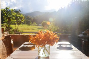 Anna Farm and Eatery Chiang Mai Thailand