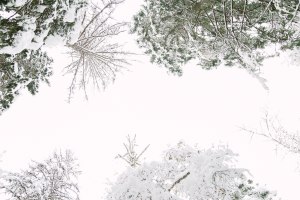 Montana Winter Photography Blog