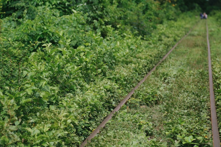 The Bamboo Train Battambang Cambodia