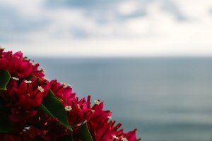 Uluwatu Temple Bali Blog