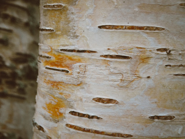 Geiranger Norway travel photography blog