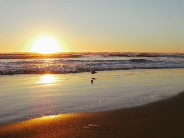 Camping at Cannon Beach Oregon Blog
