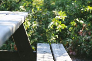 The best weekend in Waterton Lakes National Park